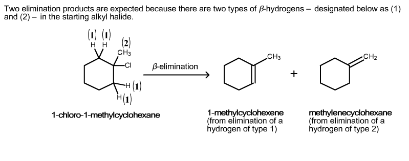 Solved Two elimination products are expected because there | Chegg.com