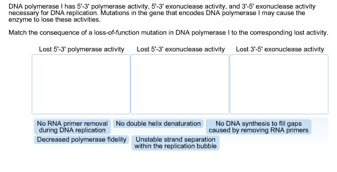 Solved DNA polymerase I has 5'-3' polymerase activity, 5'-3' | Chegg.com