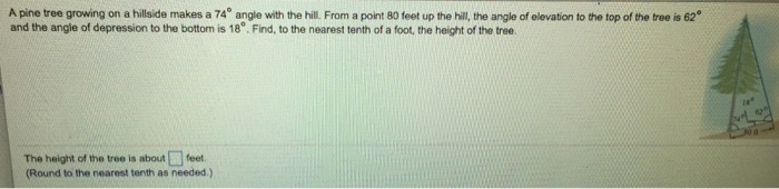 Solved A pine tree growing on a hillside makes a 74 degree | Chegg.com