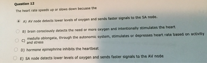 Solved The heart rate speeds up or slows down because the | Chegg.com