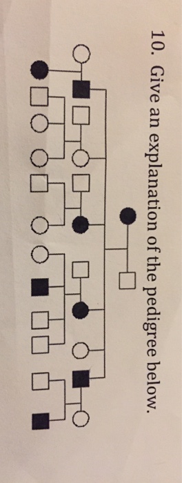 solved-10-give-an-explanation-of-the-pedigree-below-chegg