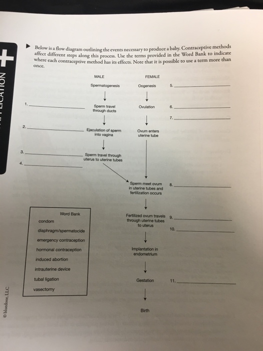 Solved Below is a flow diagram outlining the events | Chegg.com