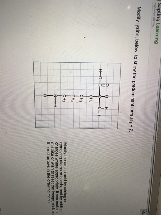 modify-lysine-to-show-the-predominant-form-at-ph-7-form-udlvirtual