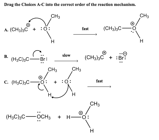 Solved Drag the Choices A-C into the correct order of the | Chegg.com