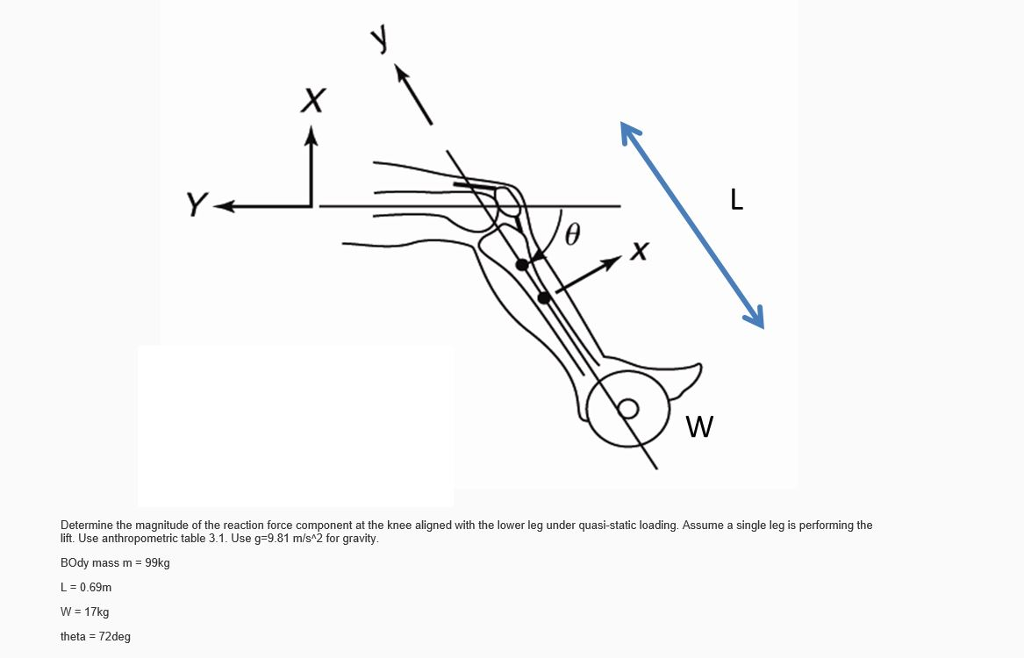 Determine the magnitude of the reaction force | Chegg.com