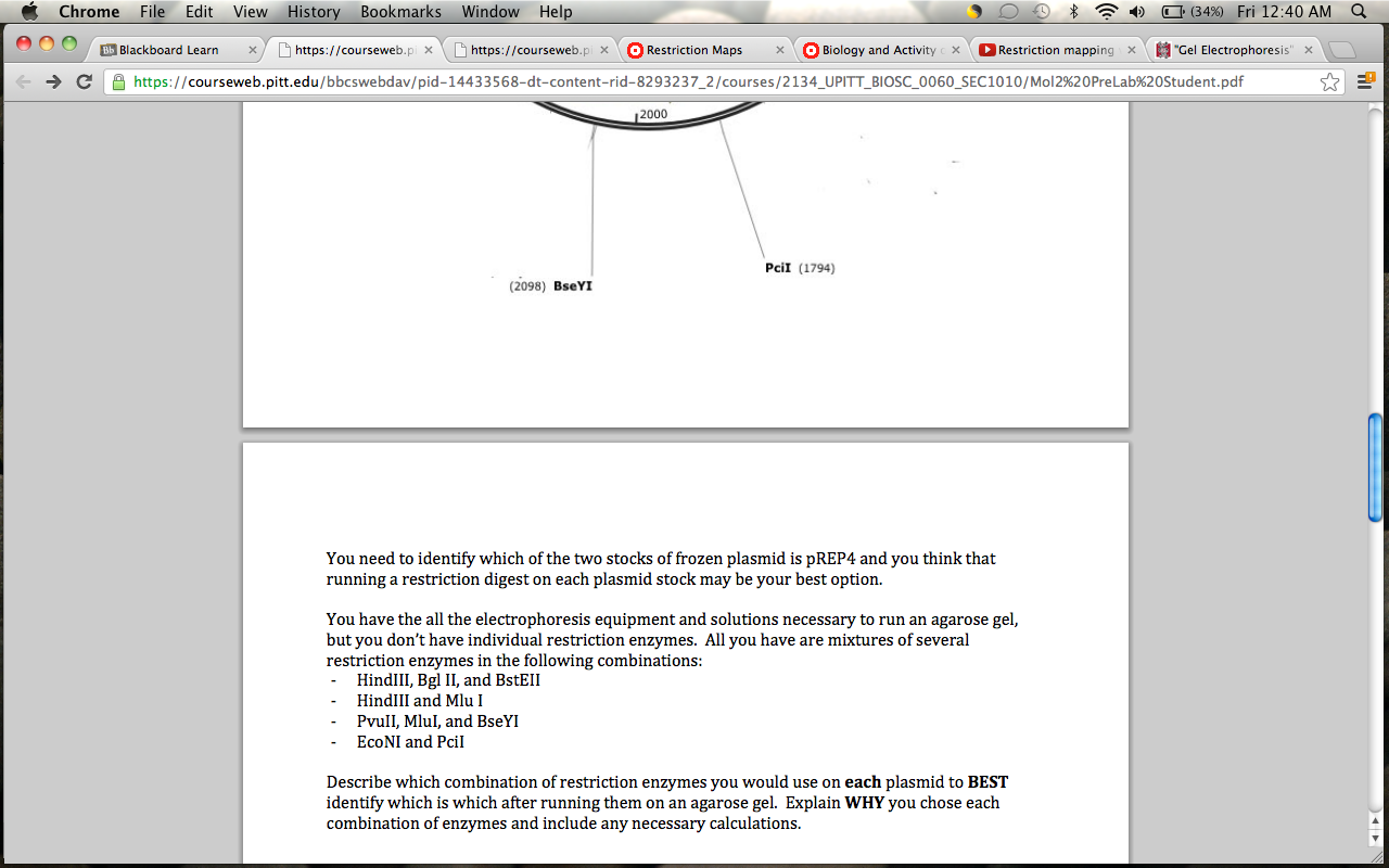 Solved Question | Chegg.com