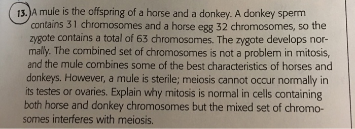 Solved A mule is the offspring of a horse and a donkey. A | Chegg.com
