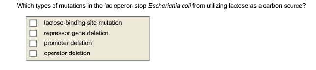 Solved Which types of mutations in the lac operon stop | Chegg.com