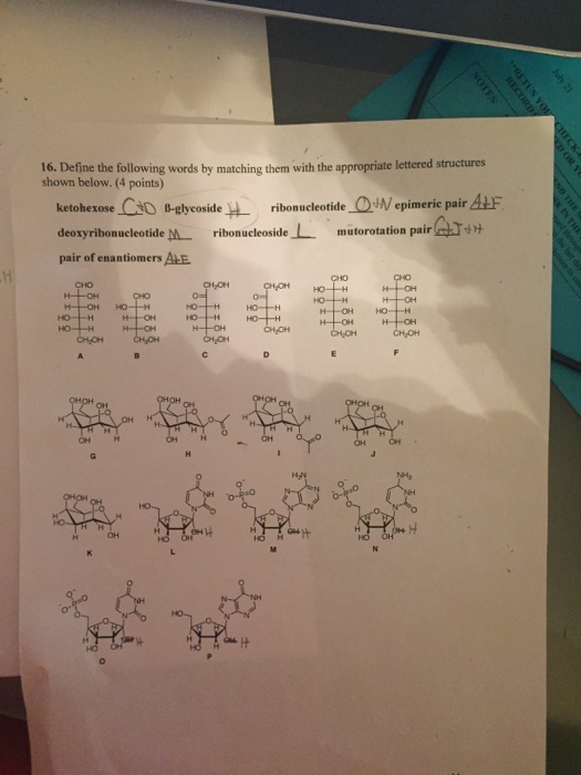 solved-define-the-following-words-by-matching-them-with-the-chegg