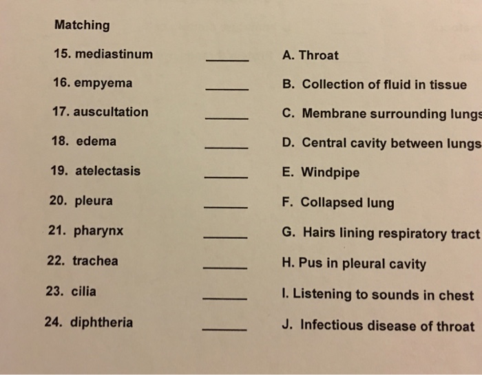 Solved Matching 15.mediastinum 16.empyema 17.auscultation | Chegg.com