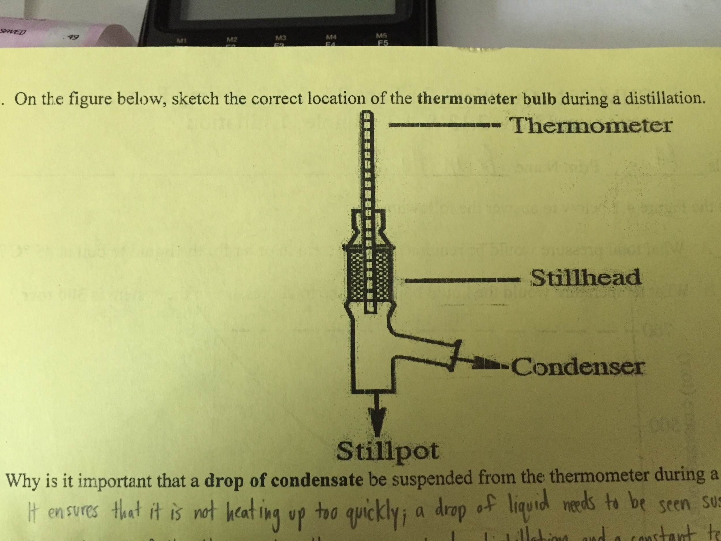 Solved Sketch the correct location of the thermometer bulb