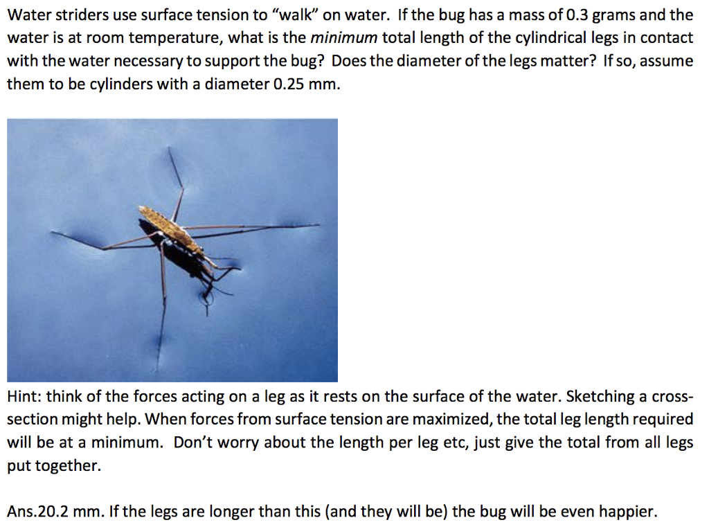 Surface Tension Bug