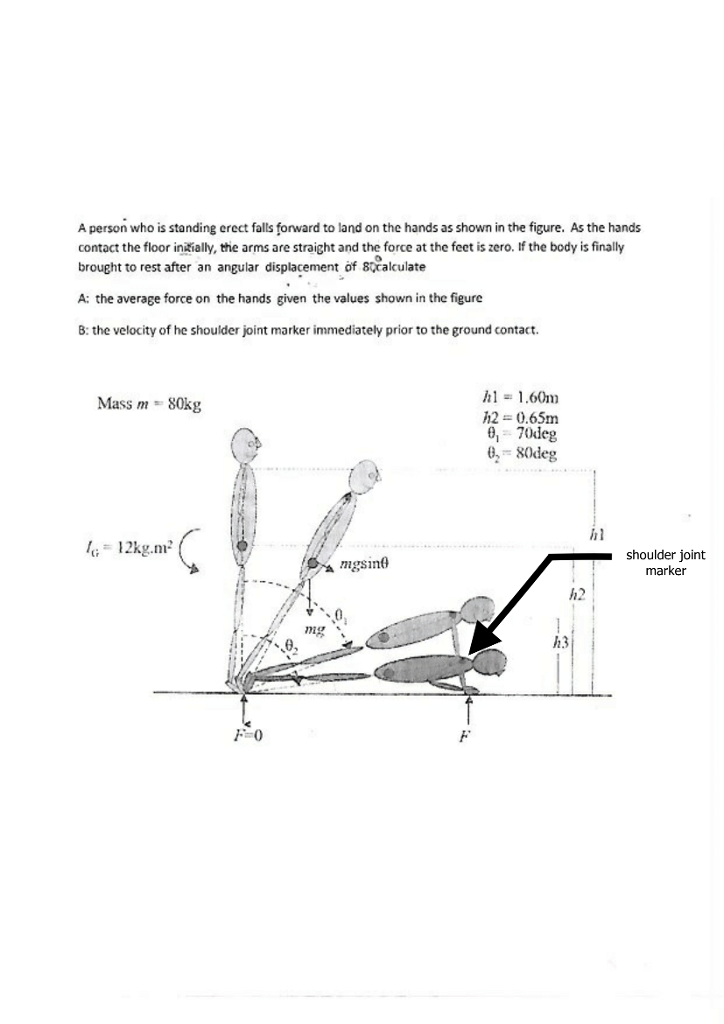 Solved A person who is standing erect falls forward to land | Chegg.com