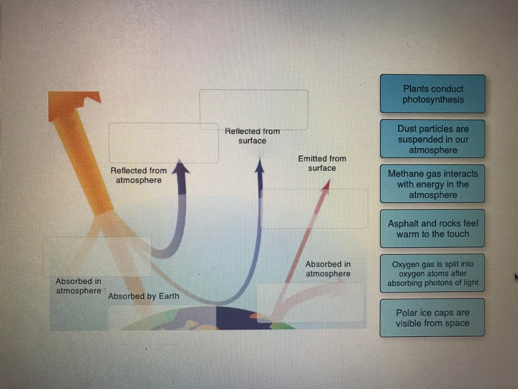 Solved Plants conduct photosynthesis Refiected from surface