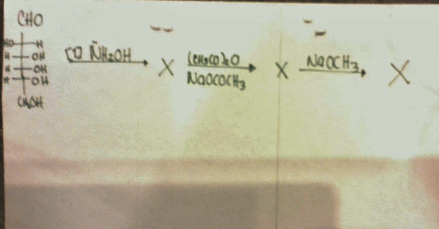 Solved How does the Wohl degradation works with the | Chegg.com