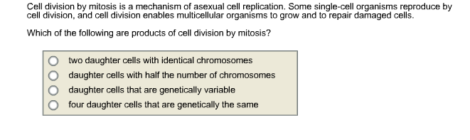Solved Cell division by mitosis is a mechanism of asexual | Chegg.com