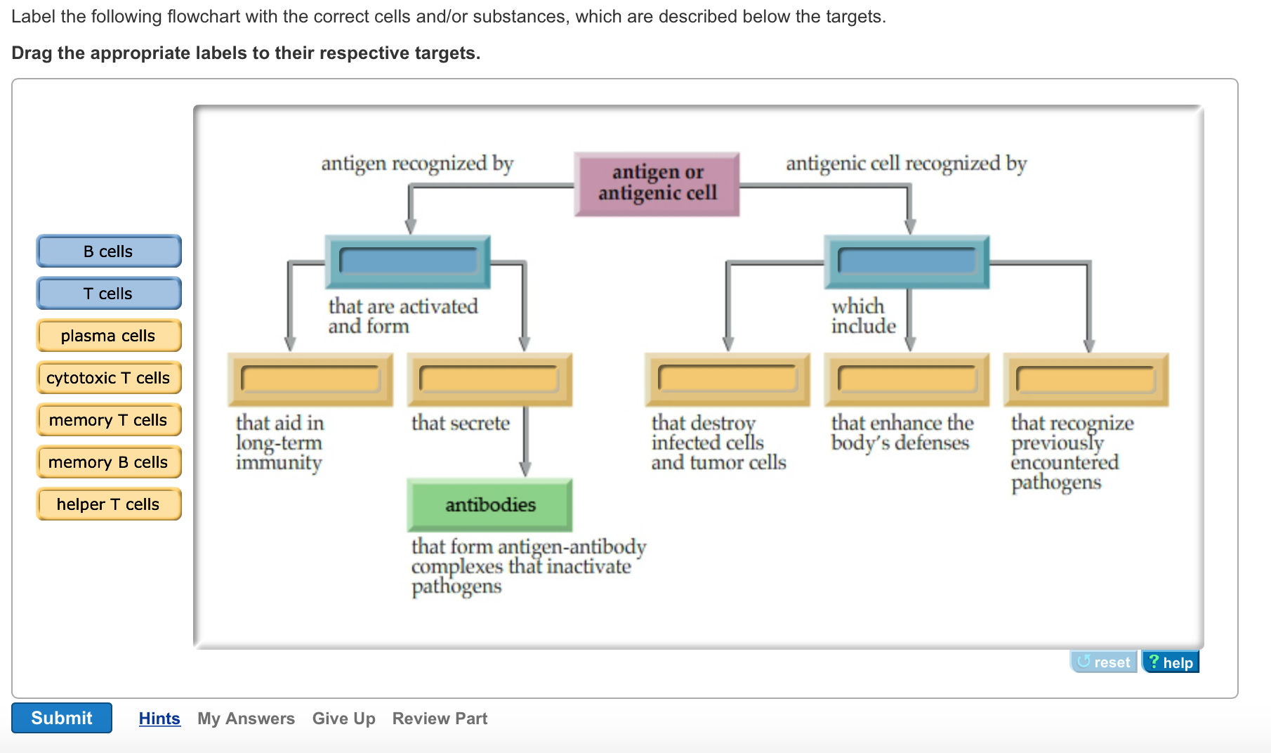 Solved Label The Following Flowchart With The Correct Cells