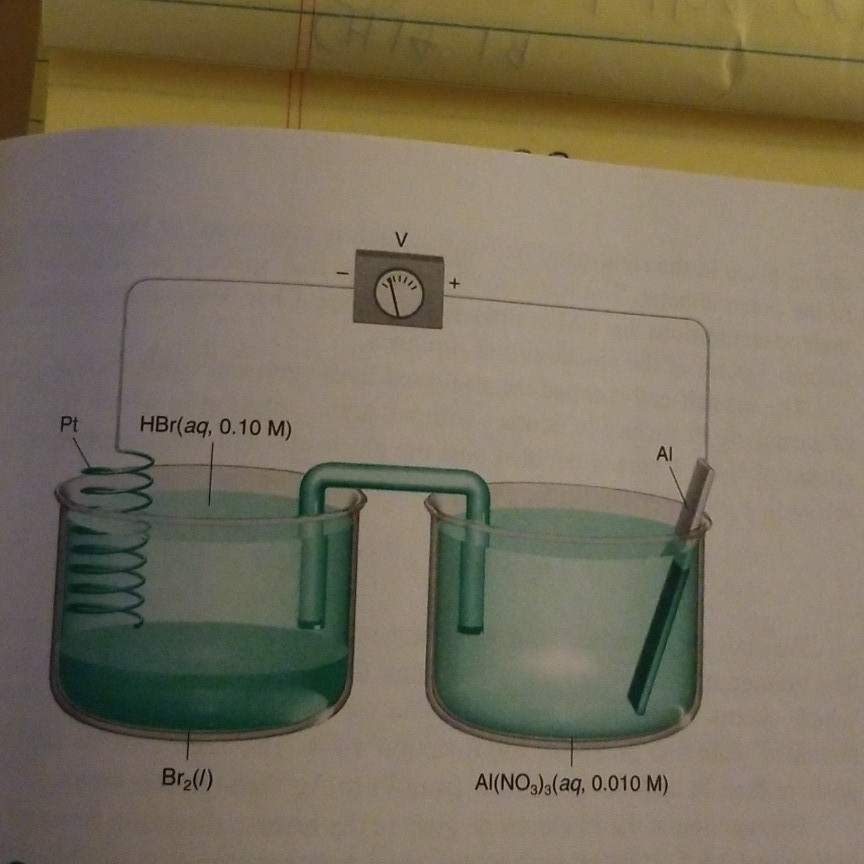 Solved Explain why the voltage of this cell remains nearly | Chegg.com