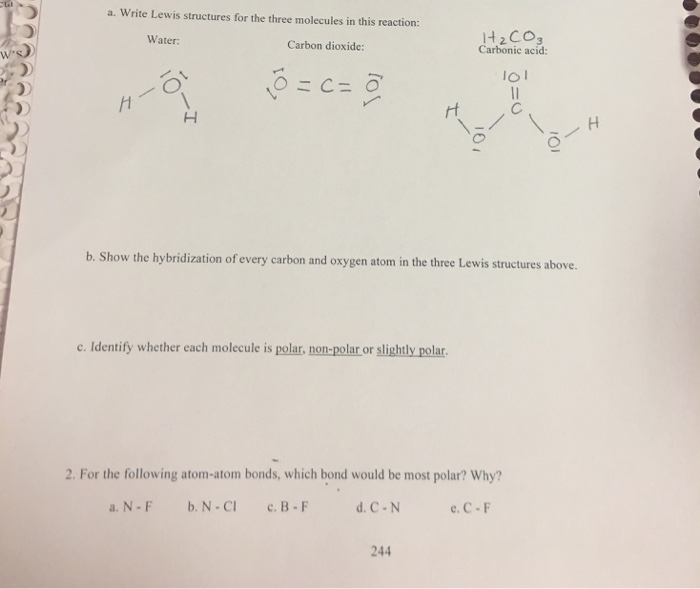 Solved Write Lewis structures for the three molecules in | Chegg.com