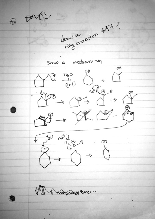 Solved Organic Chemistry Lab Can You Please | Chegg.com