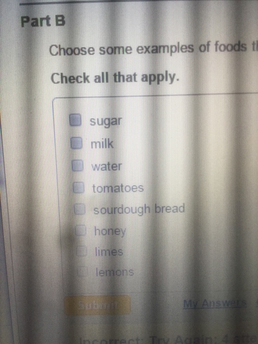 Solved Choose some examples of foods Check all that apply | Chegg.com