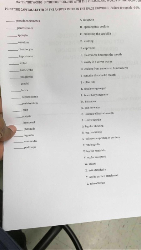 Solved MATCH THE WORDS IN THE FIRST COLUMN WITH THE PHRASES | Chegg.com