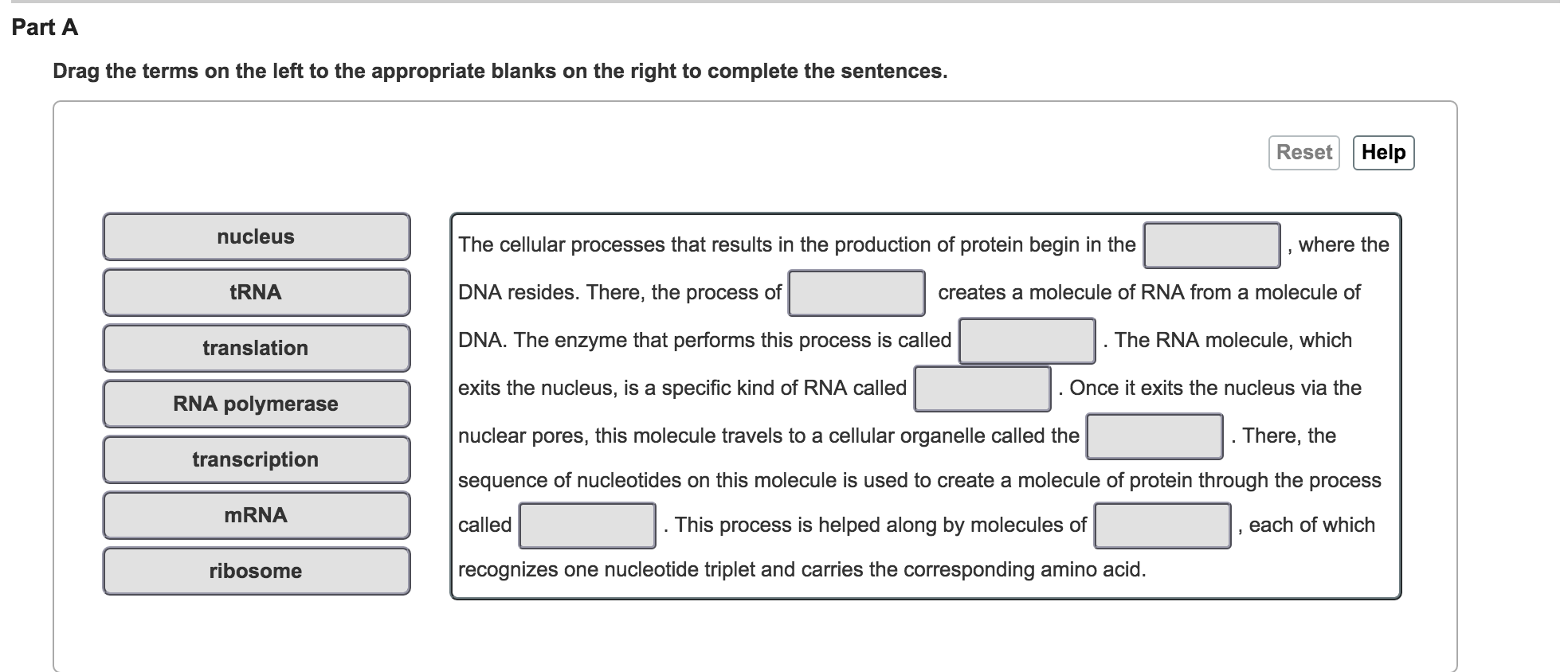 Solved: Drag The Terms On The Left To The Appropriate Blan... | Chegg.com