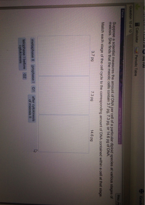 Solved Suppose a scientist measures the amount of DNA per | Chegg.com