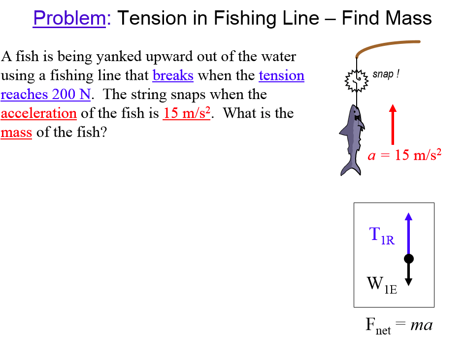 Solved Problem Tension in Fishing Line Find Mass A fish