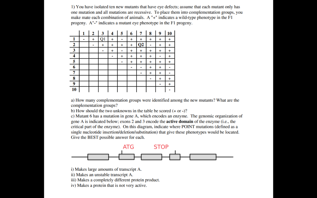 Solved 1) You Have Isolated Ten New Mutants That Have Eye | Chegg.com