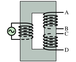 Solved The figure shows three wires wrapped around an iron | Chegg.com