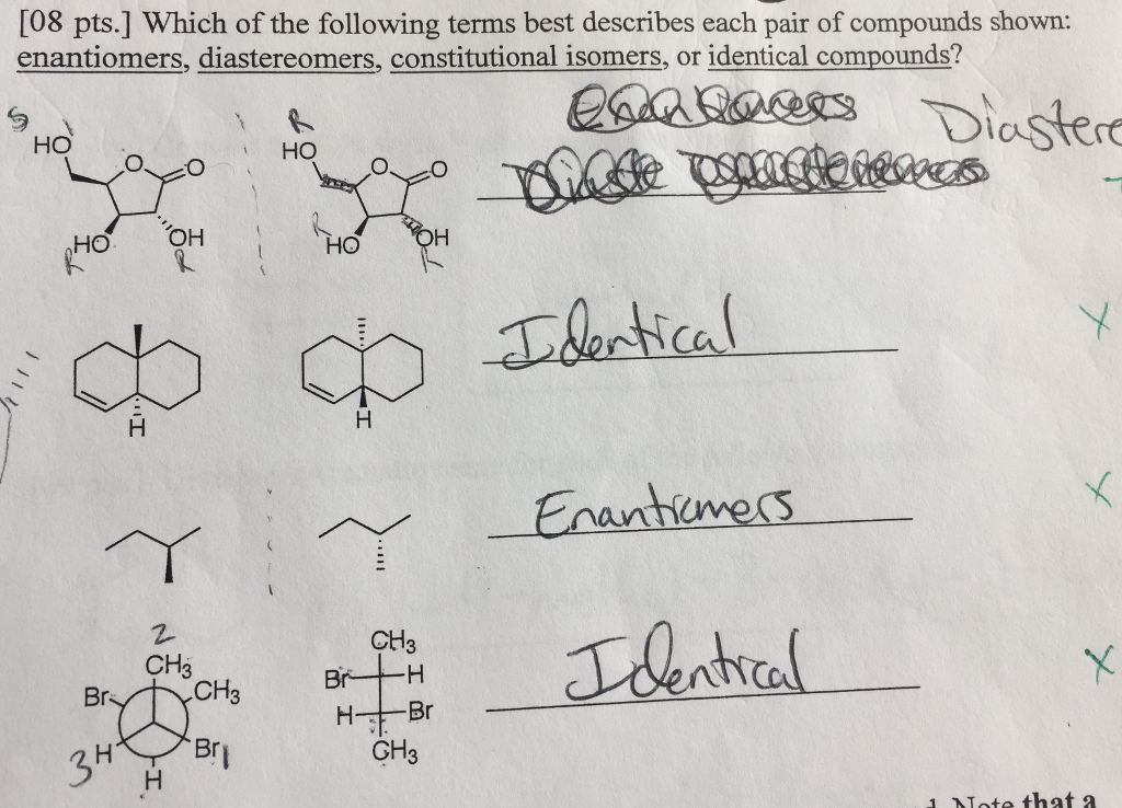 solved-08-pts-which-of-the-following-terms-best-describes-chegg