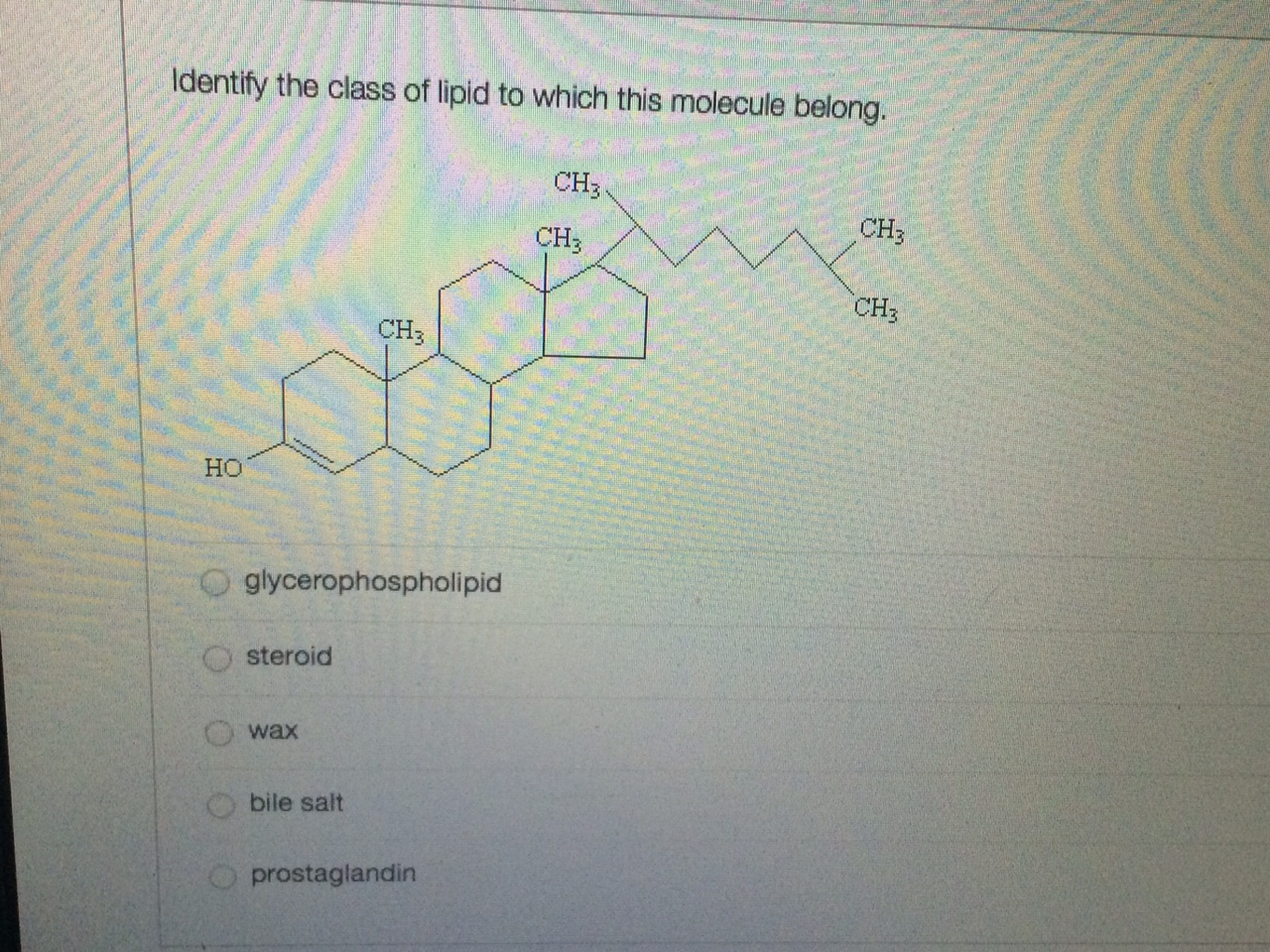 Solved Identify the class of lipid to which this molecule | Chegg.com