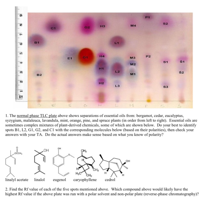 The normal phase TLC plate above shows separations of