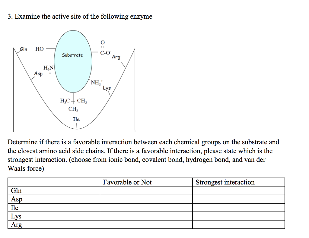 Solved Examine the active site of the following enzyme | Chegg.com