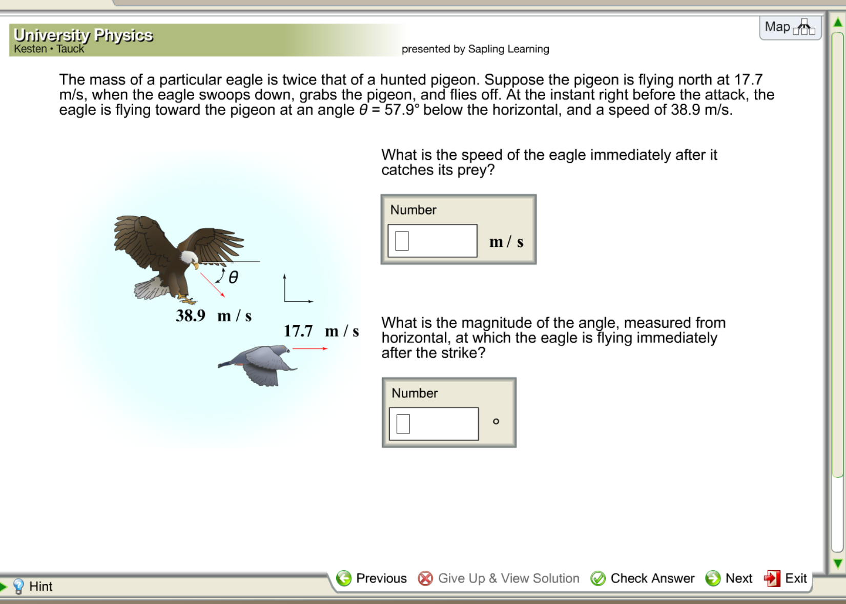 Solved The mass of a particular eagle is twice that of a | Chegg.com