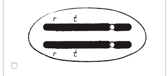 Solved Select progeny of the cross Rt/rTX rt/rt Select the | Chegg.com