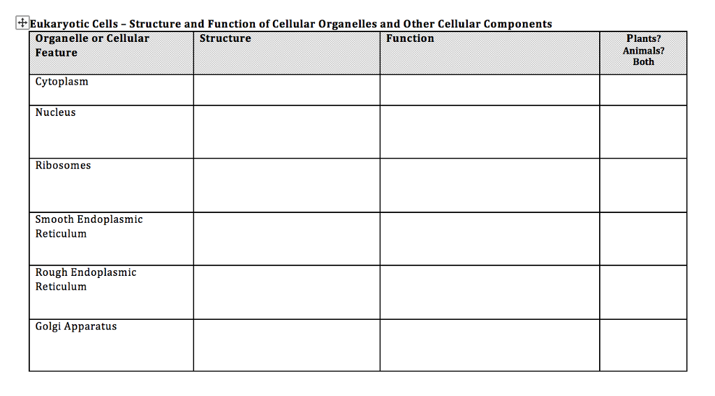 summarize the structure and function of organelles in eukaryotic cells