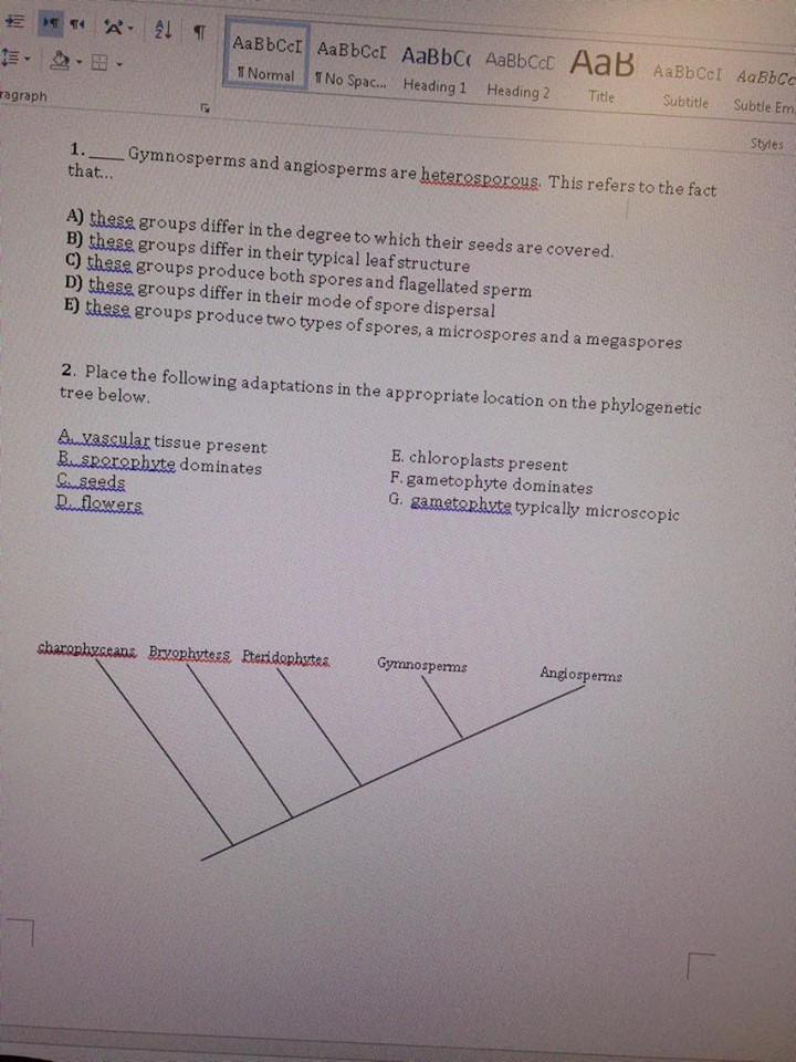 Solved Gymnosperms and angiosperms are heterosporous. This