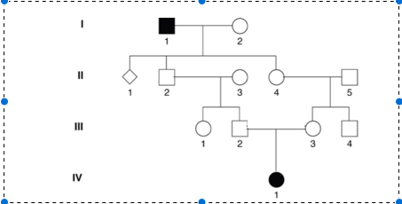 Solved Consider the above pedigree of a cat mating. We are | Chegg.com