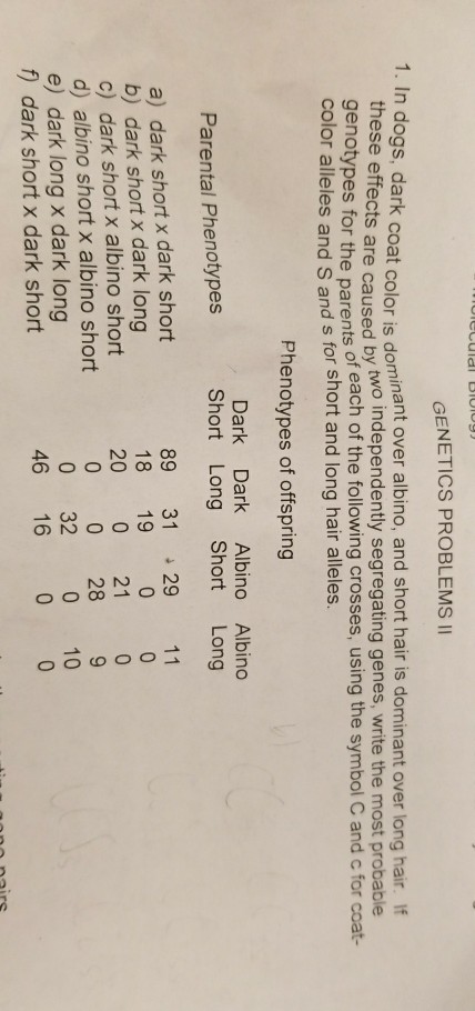 Solved GENETICS PROBLEMS II 1. In Dogs, Dark Coat Color Is | Chegg.com