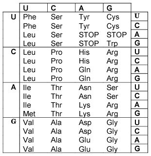 Solved use the genetic code table to determine which of the | Chegg.com