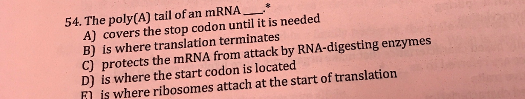 Solved 54. The poly(A) tail of an mRNA _.* A) covers the | Chegg.com