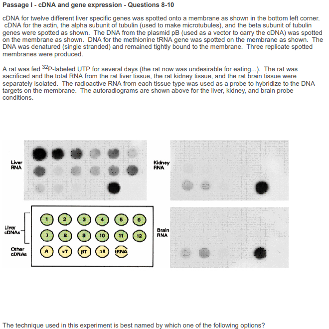 Solved Passage I cDNA and gene expression Questions 810