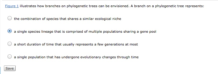 illustrates how branches on phylogenetic trees can