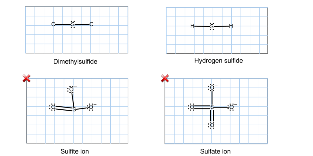 Dimethyl Sulfide Dot Structure