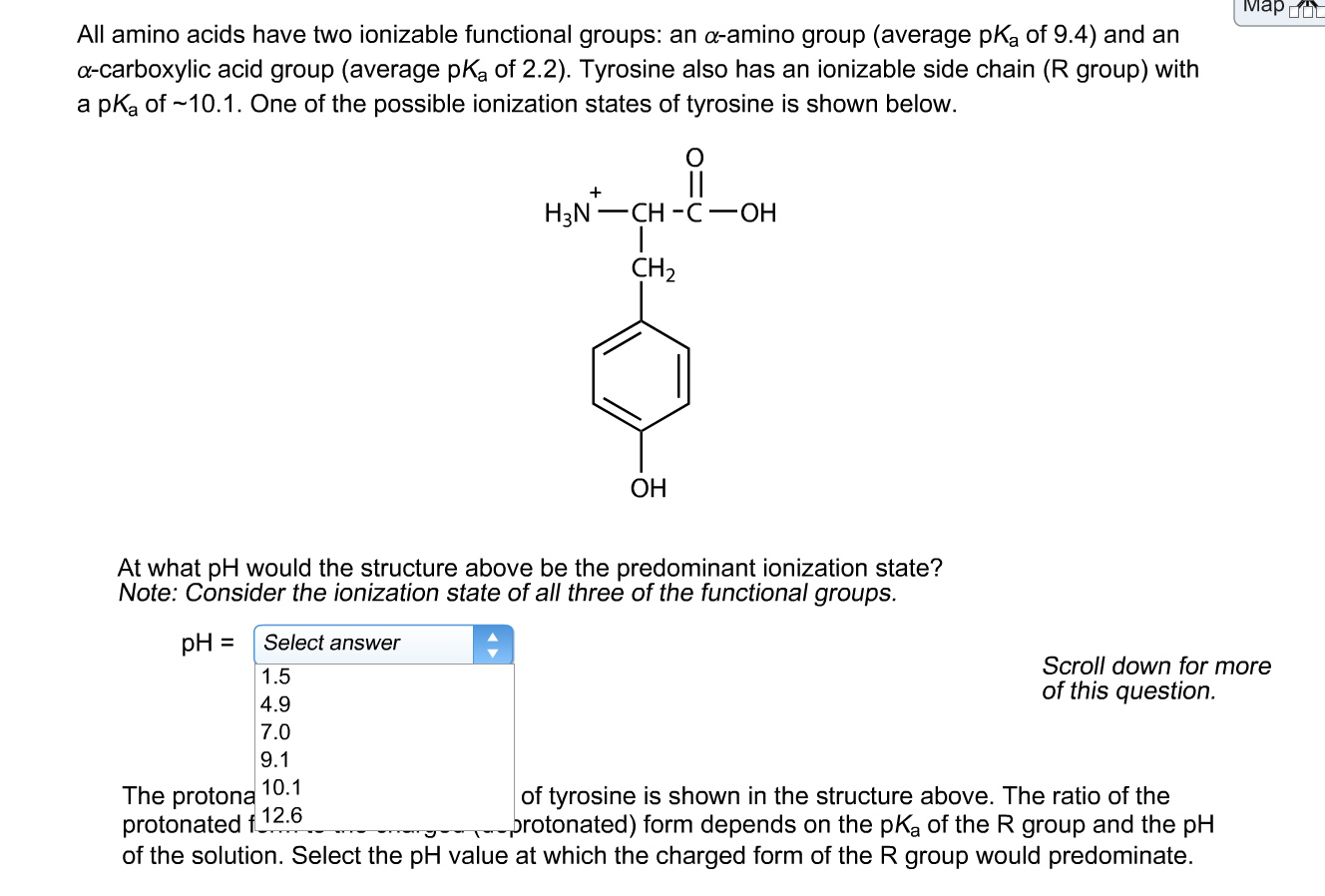amino functional group