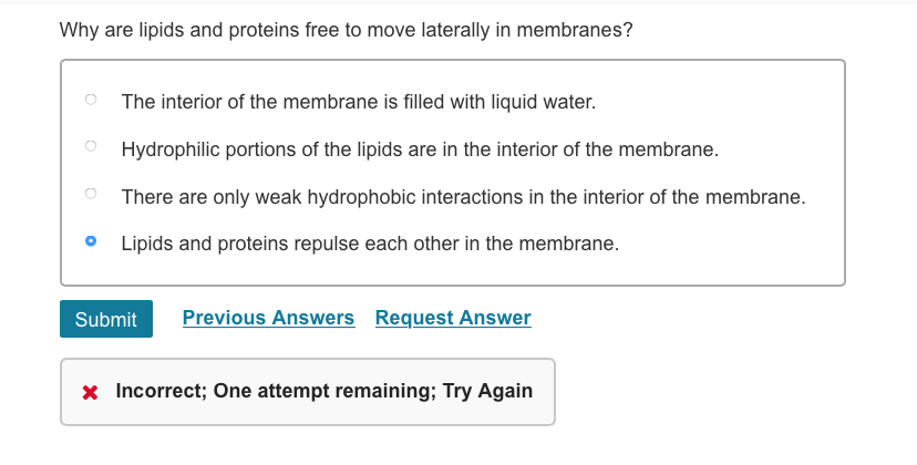 Solved Why Are Lipids And Proteins Free To Move Laterally In Chegg