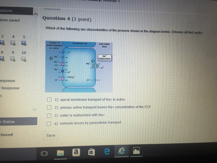 Solved Which Of The Following Are Characteristics Of The Chegg