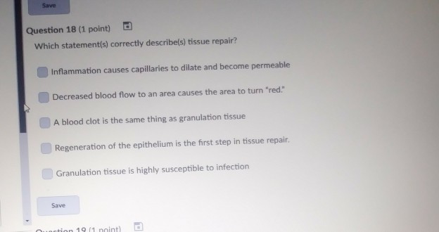 Solved Save Question 18 (1 point) Which statement(s)  Chegg.com